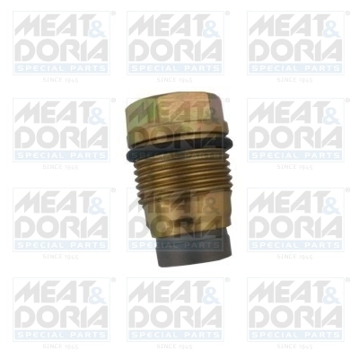 Pressure Limiting Valve, common rail system